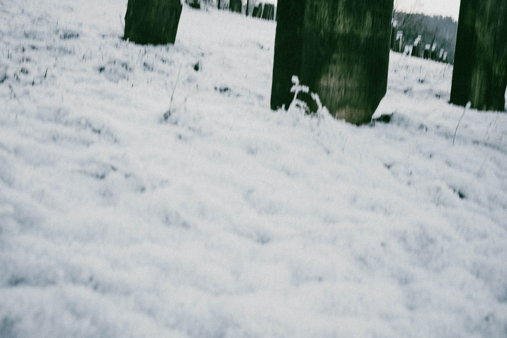 Binsförth, Jüdischer Friedhof